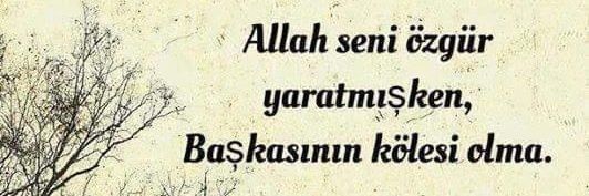 ÖZGÜR ADAM's banner