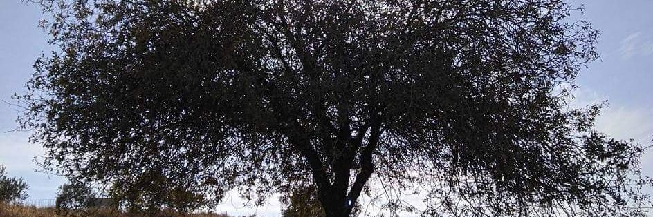 رياض السنيد's banner
