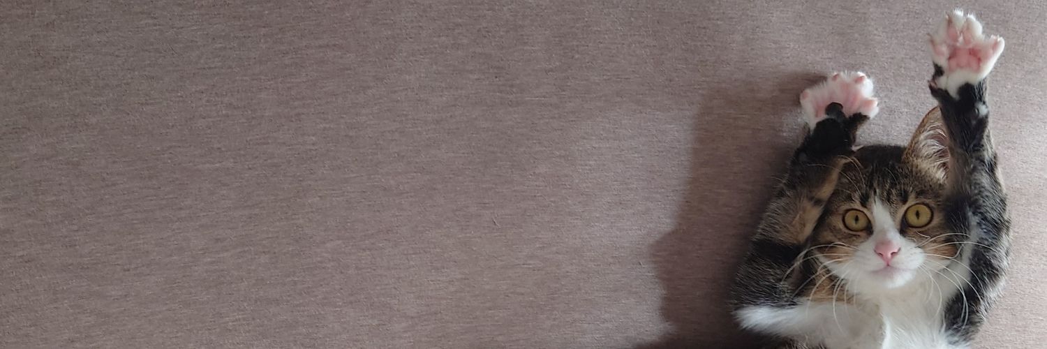 てらさわホーク's banner