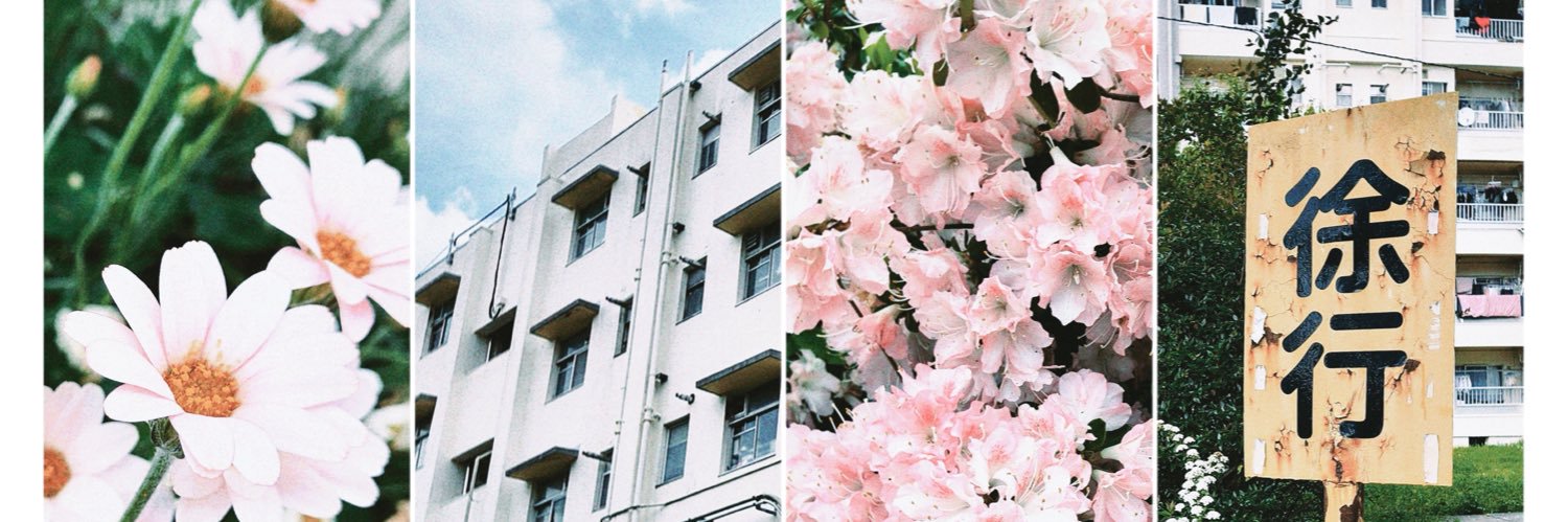 千代園るる's banner