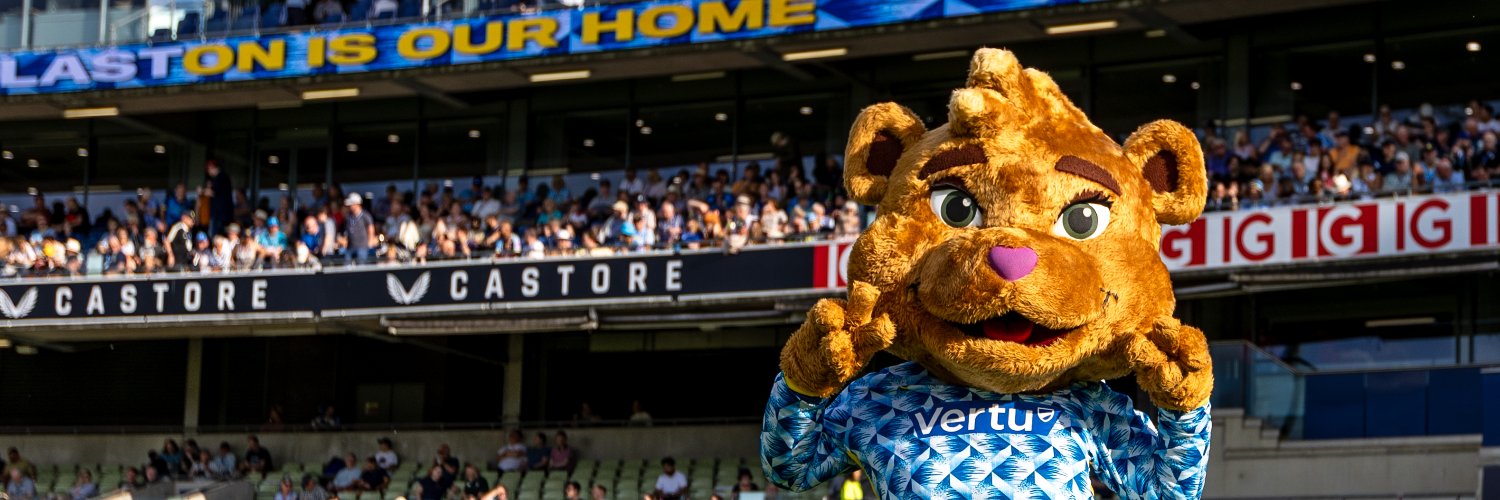 Bears's banner