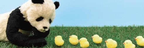 くまねこ 🐯ブログ写真整理中💦's banner