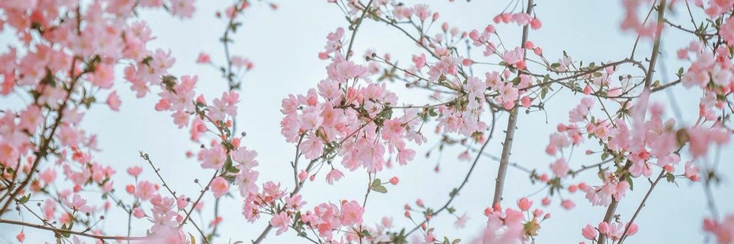 Amandinha Garcia's banner
