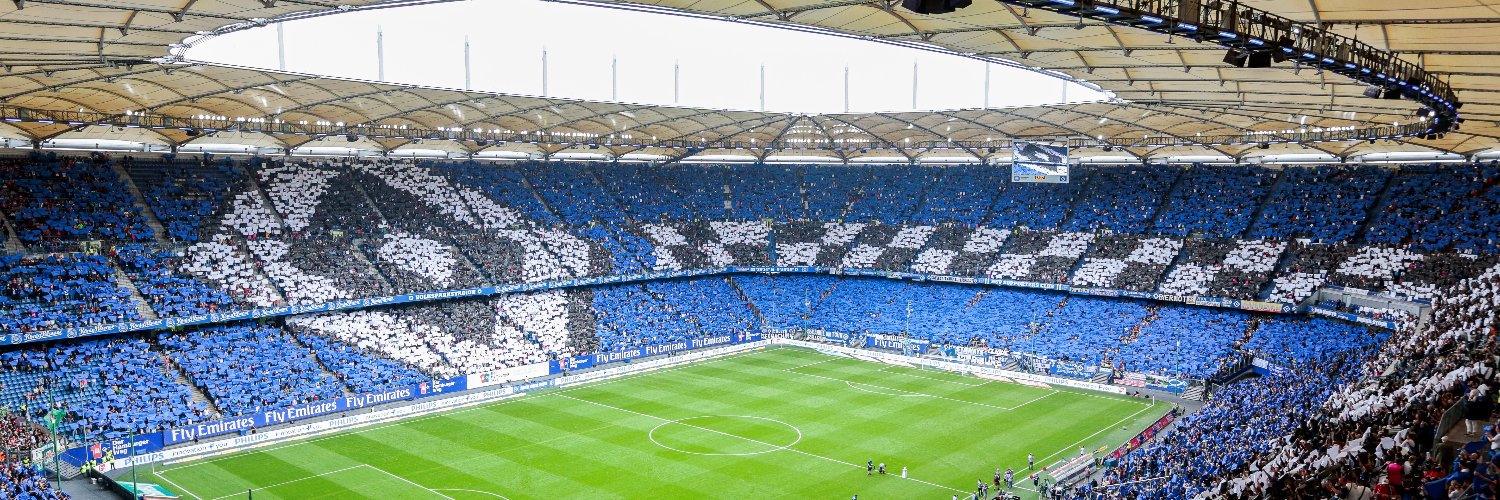 HSV e.V.'s banner