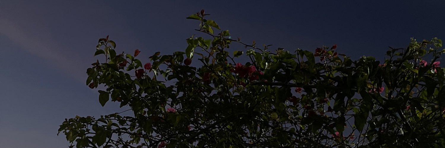 رقيه رأفت 🇪🇬's banner