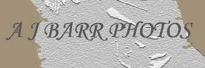 Mr. Óbvio's banner