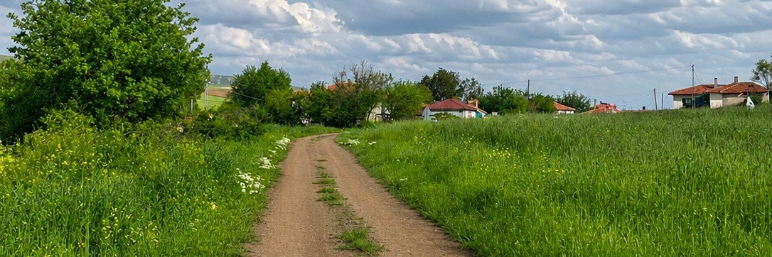 hüzün çiçeği's banner