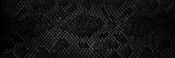 ᚦ ᛁ ᛘ lilith’s coven ᚦ ᛁ ᛘ's banner