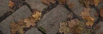 『sam』's banner