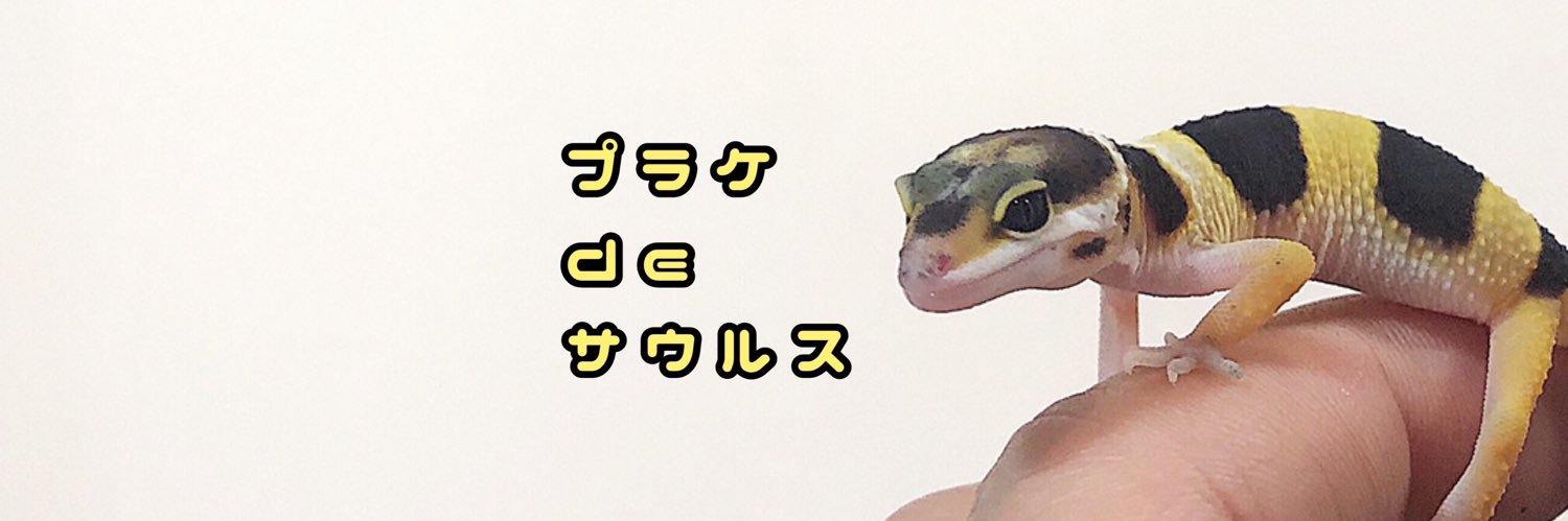 プラケdeサウルス's banner