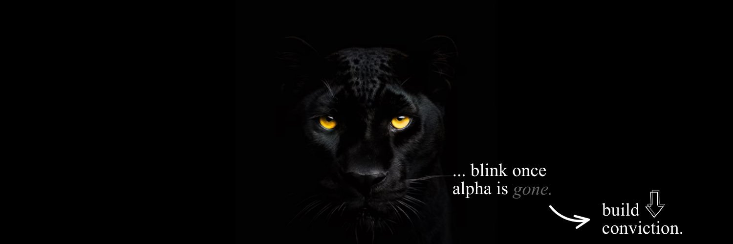Black Panther Capital's banner