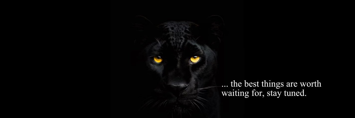 Black Panther Capital's banner