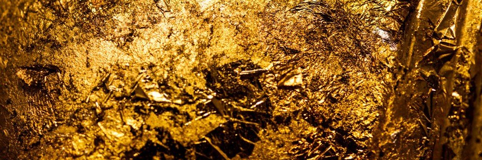 Golden Soles's banner