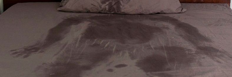 Laureano de Labriego's banner