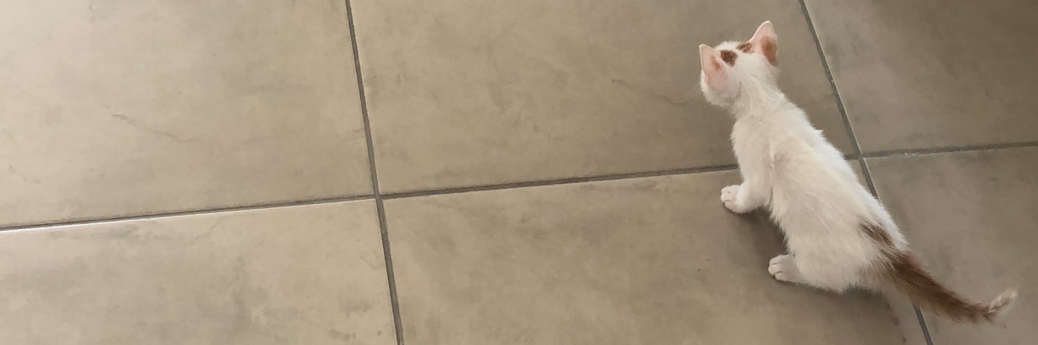 Milica Out Of Context's banner