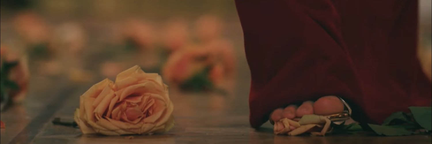 İnci Parlak 🦋's banner