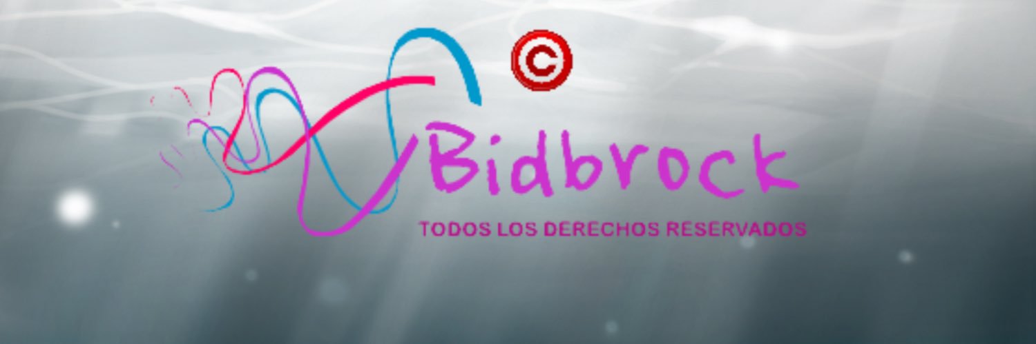 Bidbrock 🔞's banner