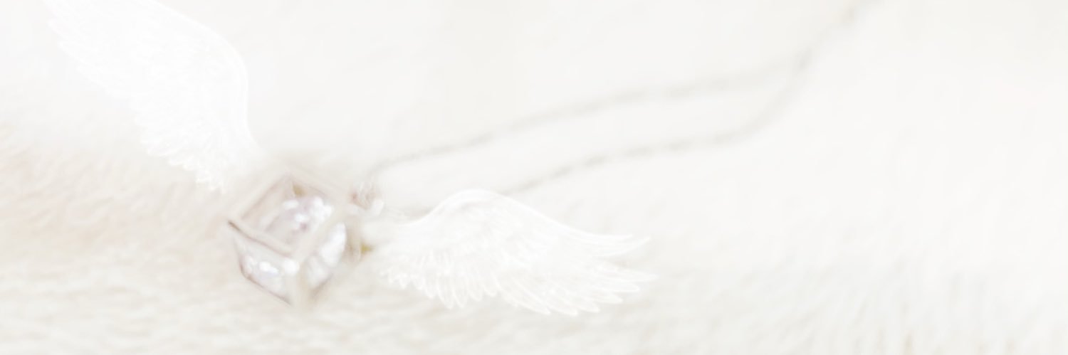 天沢 凛@心の旅人's banner