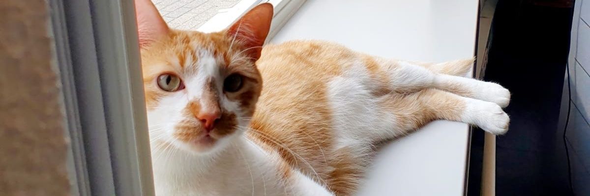 Winston (ex) bureaukat's banner