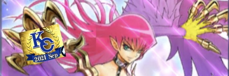 ひよこ🐤@ω's's banner