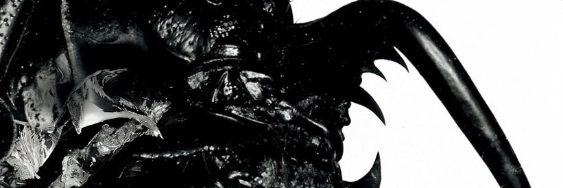 n.🪲's banner