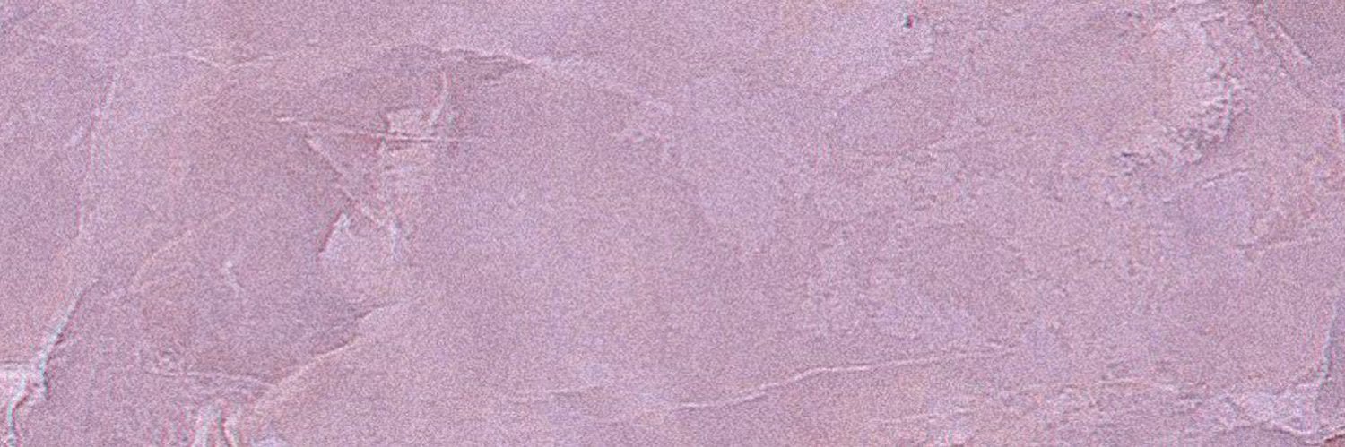 Jane🫧's banner