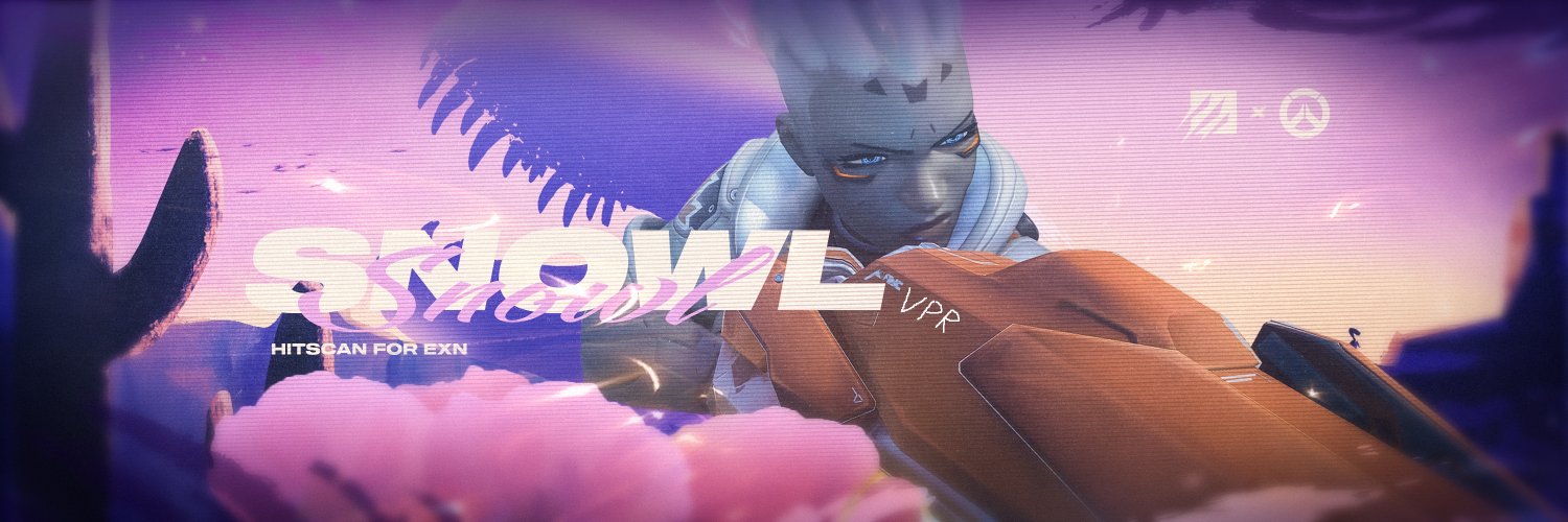 Snowl's banner