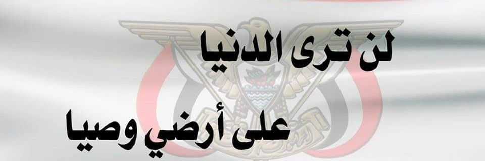 سيف المشاط's banner