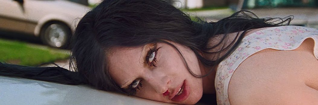 sam's banner