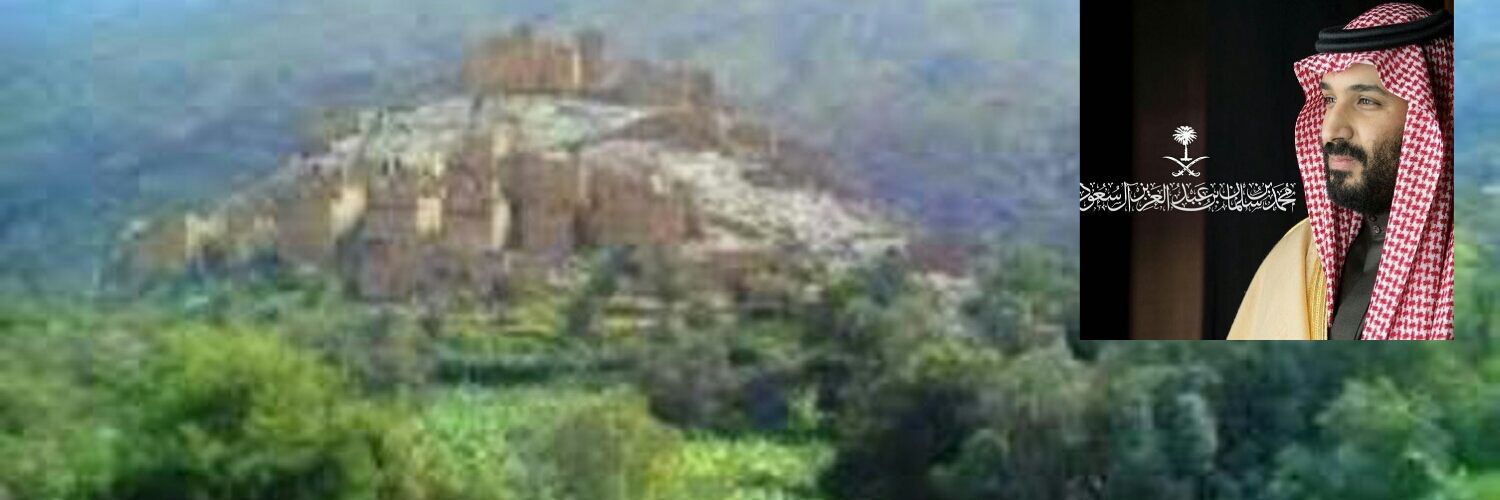 ذي عين's banner