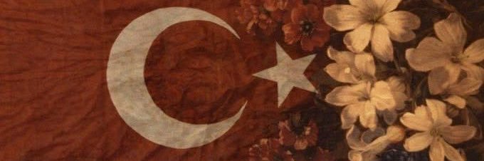 ᴄᴇᴍʀᴇ 🇹🇷🐺's banner