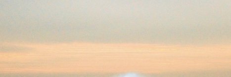 Free Porn Sex XXX's banner