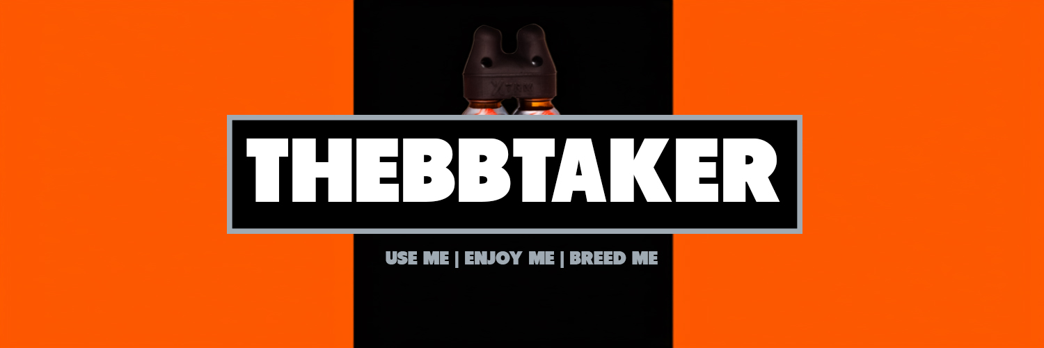 thebbtaker's banner
