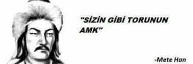 Z kuşağı Terörü's banner