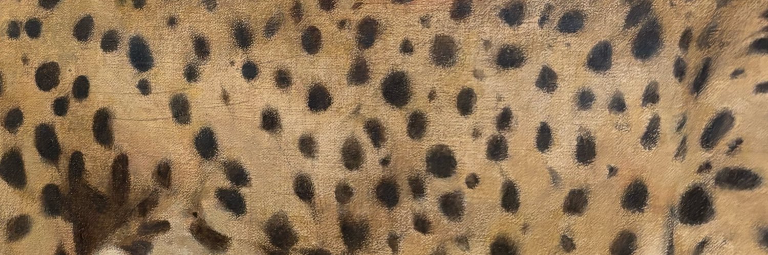 camil's banner