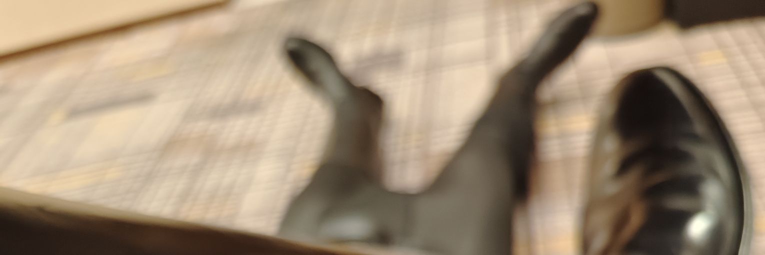 火爖's banner