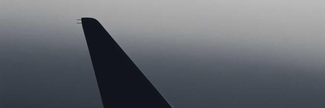 Esuola Daniel ✦︎'s banner