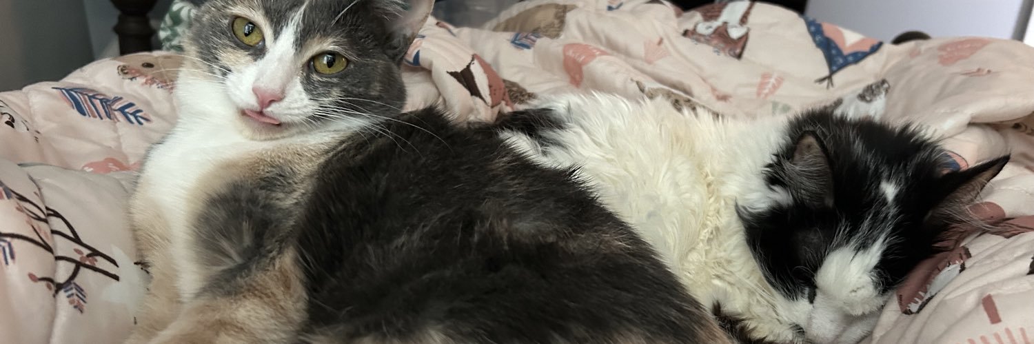 monkey & zoe ❤️ oreo 🌈's banner