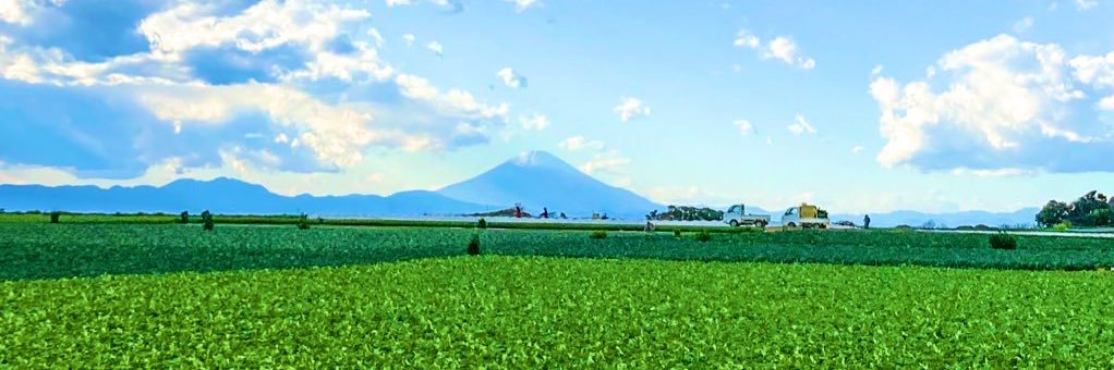 岩崎ファーム's banner