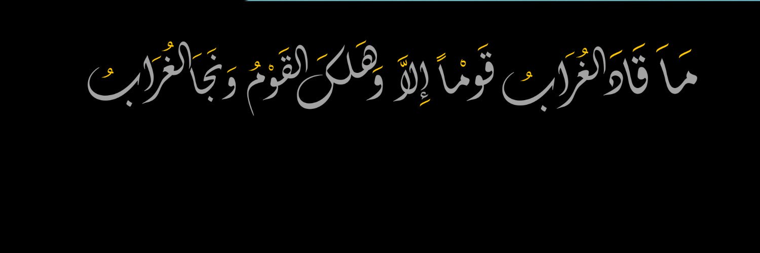 Hesham Sabry هشام صبري's banner