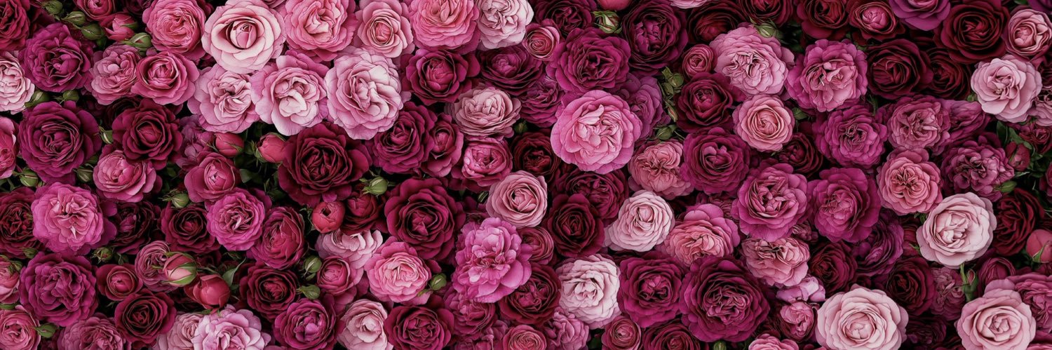 Fayeeee🥀's banner