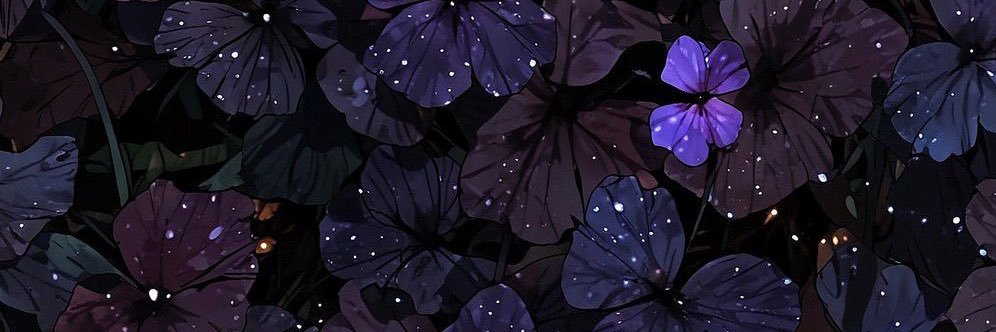 K💜🌸 is watching NOUR's banner