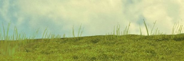 nooby's banner
