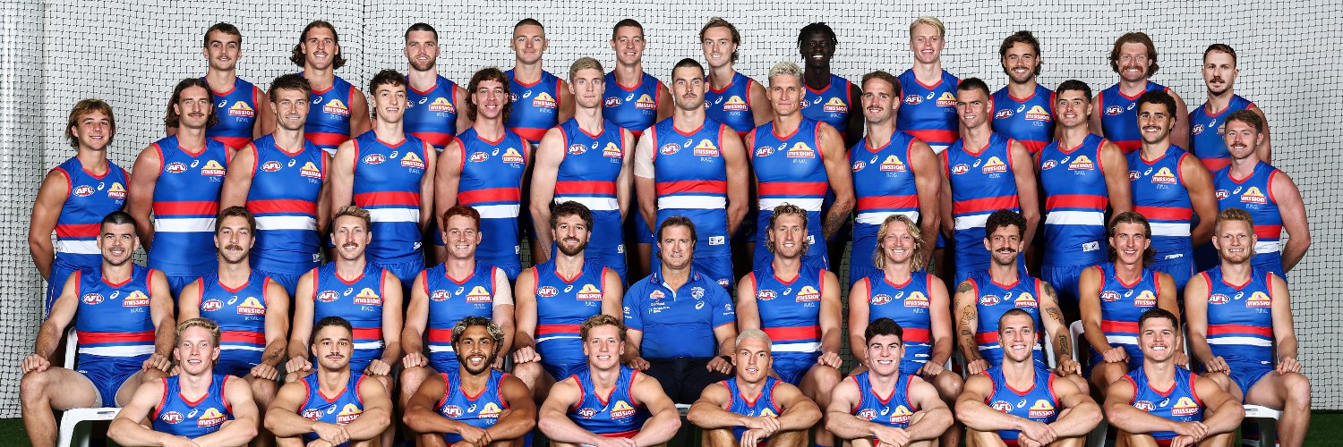 Western Bulldogs's banner