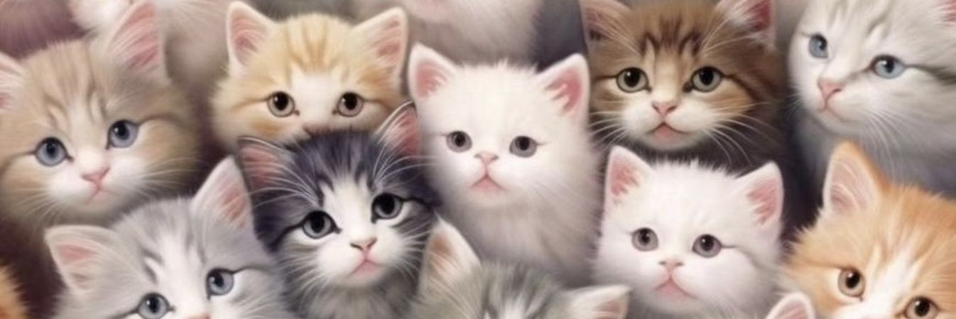 🐾H@neen🐾's banner