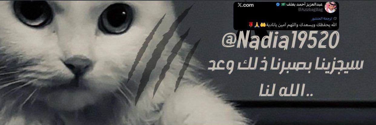 ‏NADiA | نَــاديّــة ﴾-'s banner