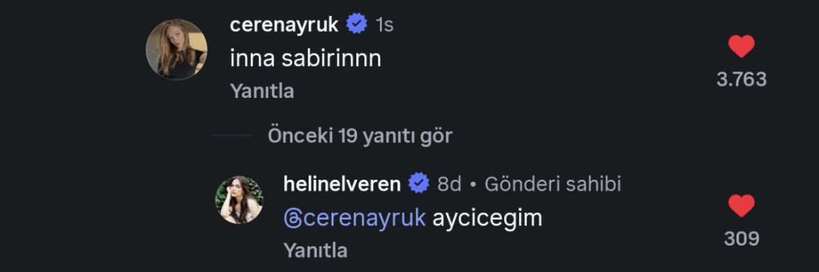 duygu terzioğlu's banner