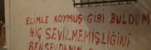 duygu terzioğlu's banner