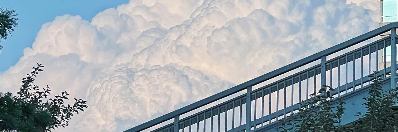 漫卷云海's banner