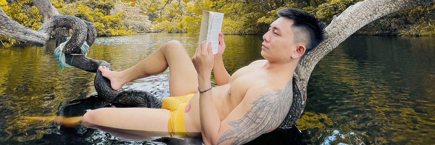 Nguyễn Đình Khiết Du's banner